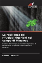 Florent Dimissia - La resilienza dei rifugiati nigeriani nel campo di Minawao