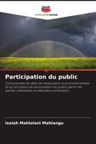 Isaiah Mahlolani Mahlangu - Participation du public