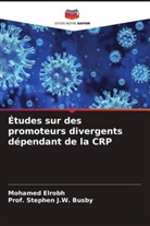 Stephen J. W. Busby, Mohamed Elrobh, Stephen J. W. Busby, Prof. Stephen J.W. Busby - Études sur des promoteurs divergents dépendant de la CRP