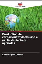 Abdelmageed Othman - Production de carboxyméthylcellulase à partir de déchets agricoles