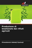 Oluwadunsin Adedeji Oyetunji - Produzione di bioetanolo dai rifiuti agricoli