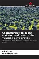 Olfa Charfi, Chiraz Masmoudi - Characterization of the surface conditions of the Tunisian olive groves