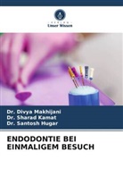 Dr San Hugar, Dr. Santosh Hugar, SANTOSH HUGAR, DR SHARAD KAMAT, Dr. Sharad Kamat, Sharad Kamat... - ENDODONTIE BEI EINMALIGEM BESUCH