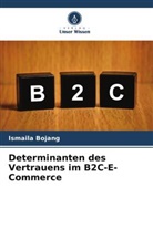 Ismaila Bojang - Determinanten des Vertrauens im B2C-E-Commerce