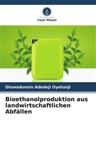 Oluwadunsin Adedeji Oyetunji - Bioethanolproduktion aus landwirtschaftlichen Abfällen