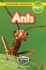 Ava Podmorow, Sarah Harvey - Ants