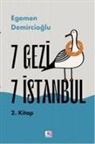 Egemen Demircioglu - 7 Gezi 7 Istanbul 2. Kitap