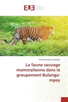 Tubar Kasongo Christophe - La faune sauvage mammalienne dans le groupement Bulanga-mpey