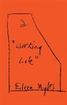Eileen Myles, Myles Eileen - a "Working Life"