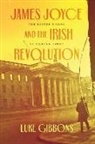 Luke Gibbons, Professor Luke Gibbons - James Joyce and the Irish Revolution