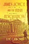 Luke Gibbons, Professor Luke Gibbons - James Joyce and the Irish Revolution