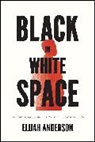 Elijah Anderson, Anderson Elijah - Black in White Space