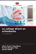 Vikas Grack Chaudhary, Shruti Mittal, Prerna Hoogan Teja - Le collage direct en orthodontie