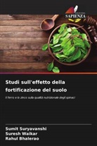 Rahul Bhalerao, Sumit Suryavanshi, Suresh Waikar - Studi sull'effetto della fortificazione del suolo