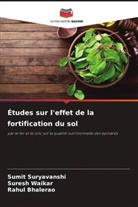 Rahul Bhalerao, Sumit Suryavanshi, Suresh Waikar - Études sur l'effet de la fortification du sol