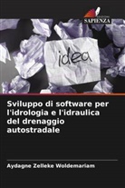 Aydagne Zelleke Woldemariam - Sviluppo di software per l'idrologia e l'idraulica del drenaggio autostradale