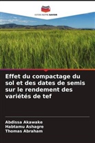 Thomas Abraham, Abdissa Akawake, Habtamu Ashagre - Effet du compactage du sol et des dates de semis sur le rendement des variétés de tef