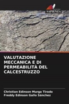 Freddy Edinson Gallo Sánchez, Christian Edinson Murga Tirado - VALUTAZIONE MECCANICA E DI PERMEABILITÀ DEL CALCESTRUZZO