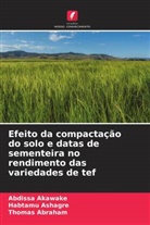 Thomas Abraham, Abdissa Akawake, Habtamu Ashagre - Efeito da compactação do solo e datas de sementeira no rendimento das variedades de tef