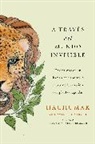 David Carroll, David L Carroll, David L. Carroll, Hachumak - Journeying Through the Invisible A traves del mundo invisible Sp. ed.