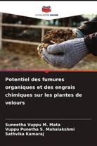 Sathvika Kamaraj, Suneetha Vuppu M. Mata, Vuppu Punetha S. Mahalakshmi - Potentiel des fumures organiques et des engrais chimiques sur les plantes de velours