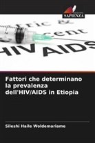 Tewoderos Tsegaye Gezahegn, Sileshi Haile Woldemariame - Fattori che determinano la prevalenza dell'HIV/AIDS in Etiopia