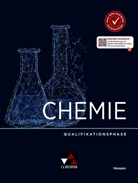 Claudia Bohrmann-Linde, Iustin Hahn, Hannel Köhle, Hannelore Köhle, Melanie Monke, Kerstin Rothermel-Mulch... - Chemie Hessen Qualifikationsphase