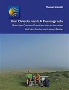 Thomas Schmidt - Von Oviedo nach A Fonsagrada