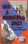 Wilmer Antonio Velásquez Peraza - SEO & Marketing 2023