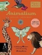 Jenny Broom, Katie Scott, Katie Scott Limited, Katie Scott - Animalium (Junior Edition)