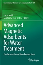 Guilherme Luiz Dotto, Luiz Dotto, Lucas Meili - Advanced Magnetic Adsorbents for Water Treatment