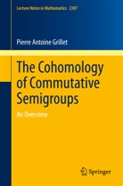 Pierre Antoine Grillet - The Cohomology of Commutative Semigroups
