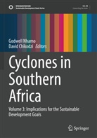 Chikodzi, David Chikodzi, Godwell Nhamo - Cyclones in Southern Africa