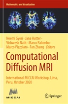 Noemi Gyori, Jana Hutter, Vishwesh Nath, Vishwesh Nath et al, Marco Palombo, Marco Pizzolato... - Computational Diffusion MRI