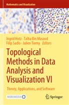 Talha Bin Masood, Ingrid Hotz, Filip Sadlo, Filip Sadlo et al, Julien Tierny - Topological Methods in Data Analysis and Visualization VI