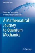 Wladimir-Georges Boskoff, Salvatore Capozziello - A Mathematical Journey to Quantum Mechanics