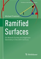 Michael Friedman - Ramified Surfaces