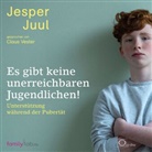 Jesper Juul, Claus Vester, Mathias Voelchert - Es gibt keine unerreichbaren Jugendlichen!, 4 Audio-CD (Hörbuch)