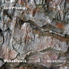 Jörn Pfennig, Jörn Pfennig - Wahndreieck - Musik & Poesie, 2 Audio-CD (Hörbuch)