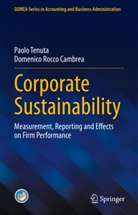 Domenico Rocco Cambrea, Paolo Tenuta - Corporate Sustainability