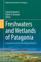 D Quintana, Gabriela Mataloni, Rubén D. Quintana - Freshwaters and Wetlands of Patagonia