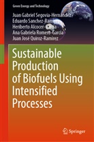 Heriberto Alcocer-Garcia, Juan José Quiroz-Ramirez, Ana Gabriela Romero-Garcia, E Sanchez-Ramirez, Eduardo Sanchez-Ramirez, Juan Gabriel Segovia-Hernández - Sustainable Production of Biofuels Using Intensified Processes