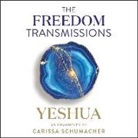 Carissa Schumacher - Freedom Transmissions Lib/E: A Pathway to Peace (Audio book)