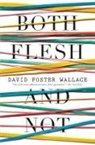 David Foster Wallace - Both Flesh and Not