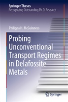 Philippa H McGuinness, Philippa H. McGuinness - Probing Unconventional Transport Regimes in Delafossite Metals