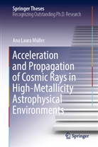 Ana Laura Müller - Acceleration and Propagation of Cosmic Rays in High-Metallicity Astrophysical Environments