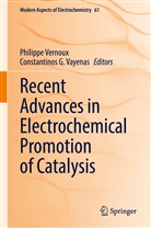 G Vayenas, Constantinos G. Vayenas, Philippe Vernoux - Recent Advances in Electrochemical Promotion of Catalysis