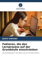 Jesús Soriano - Faktoren, die den Lernprozess auf der Grundstufe einschränken