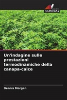 Dennis Morgan - Un'indagine sulle prestazioni termodinamiche della canapa-calce