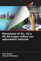 Esin Ate¿çi, Esin Atesçi, Osman Sivrikaya - Rimozione di Zn, Cd e Pb da acque reflue con adsorbenti naturali